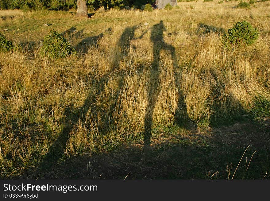 Hikers shadow on green grass. Hikers shadow on green grass