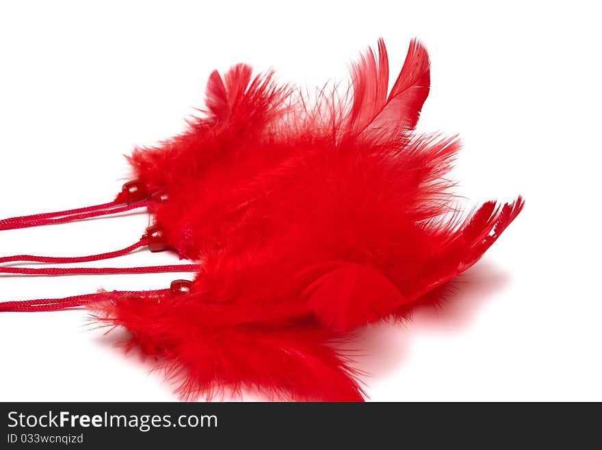 Red feather over white background. Red feather over white background