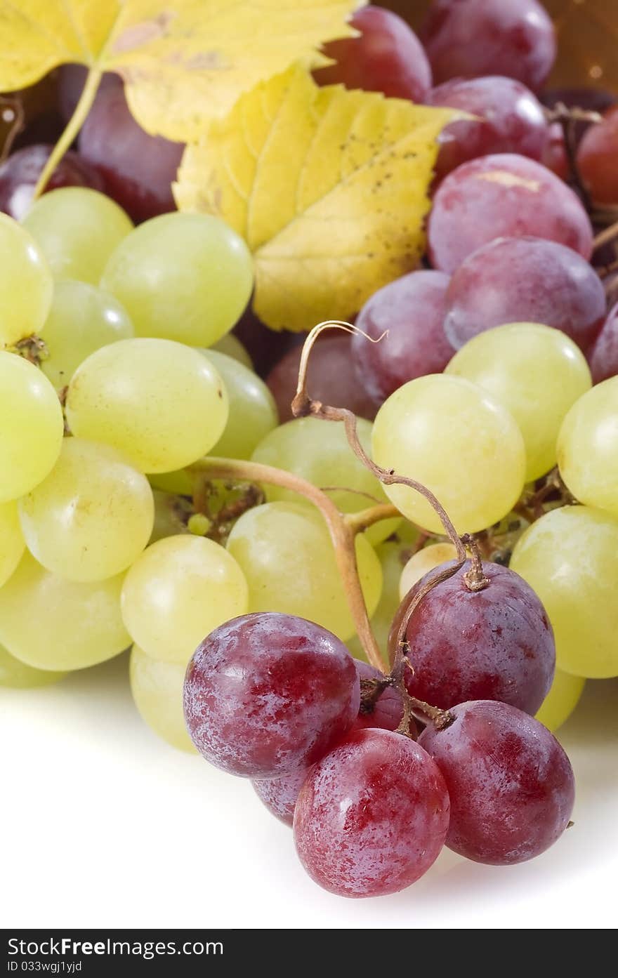 Close-up Of Grape