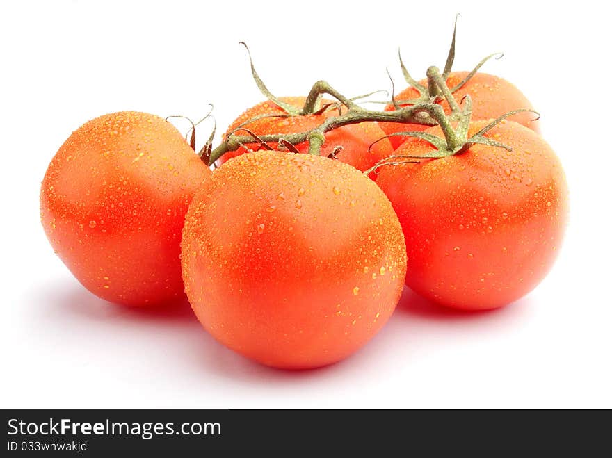 Covered with dew, tomatoes isolated on white background. Covered with dew, tomatoes isolated on white background