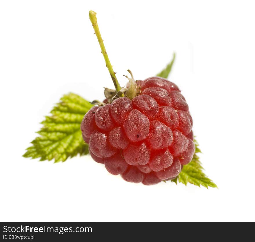 red fresh raspberry isolated on white