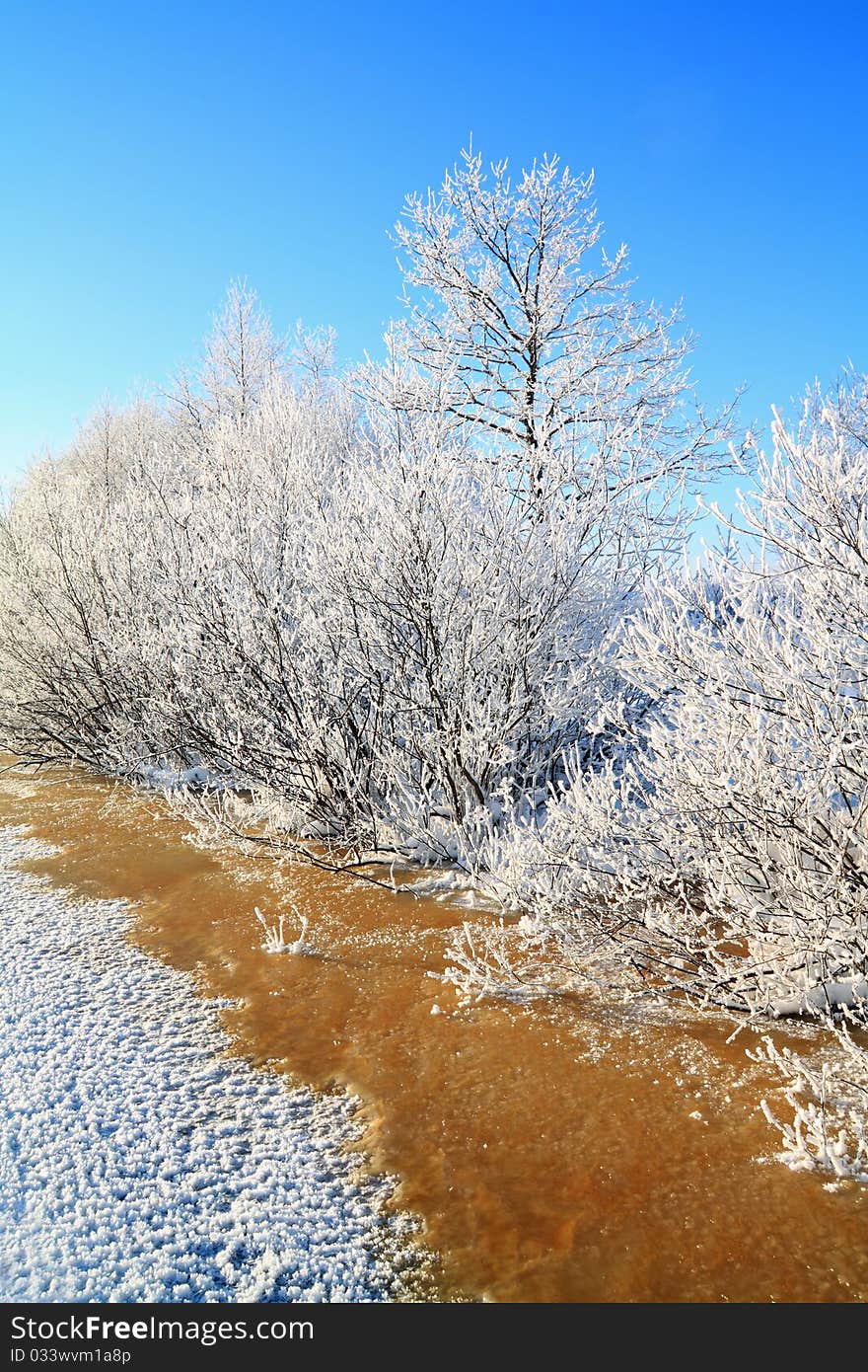 White bushes in red water