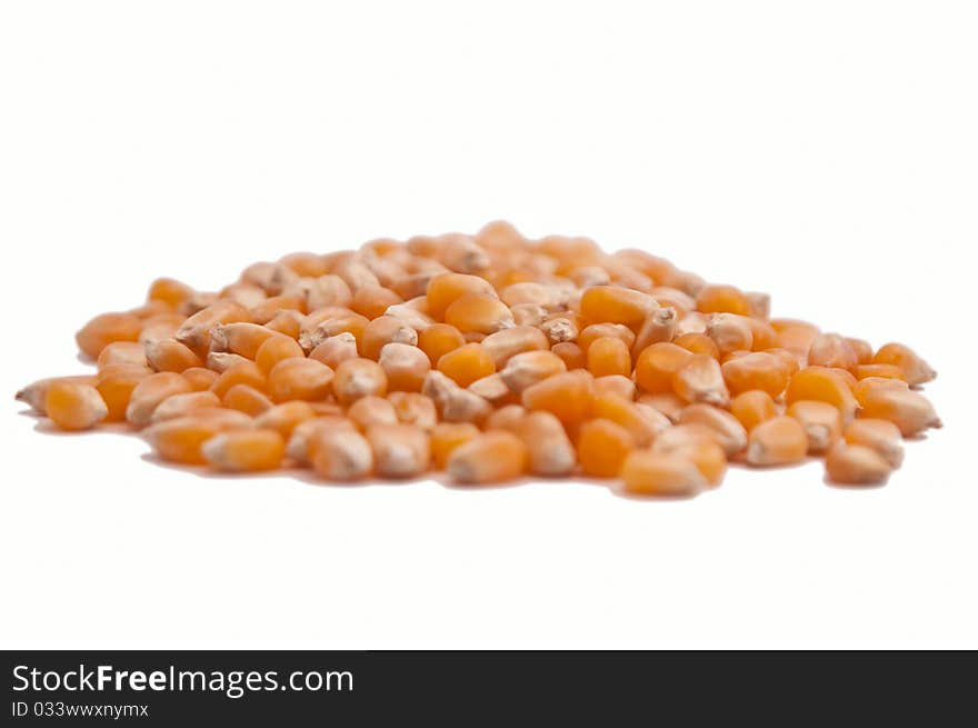 Sweet corn isolated on a white bacground