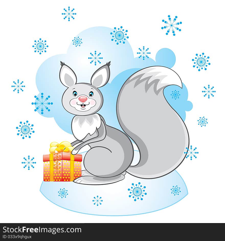 Grey Squirrel