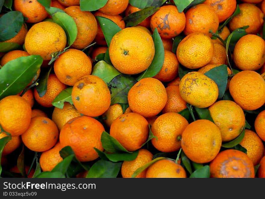 Fresh baby orange in market closeup background , Asia , Thailand