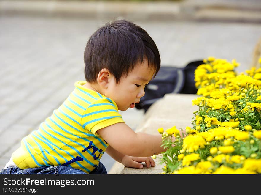 A cute baby is playing in a garden