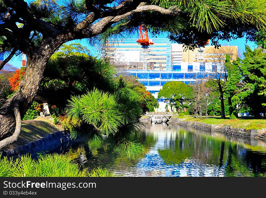 This is the family garden of the greatest shogun in Japan, that is the Tokugawa. The garden is open for pub;ic viewing and many different plants were kept. This picture shows bonsai pine trees where the branches are uniquely trimmed and cut so that it represent a beautiful nature art. The trees are reflected in the river during a sunny day. The garden also hosted a jetty for Sugida river cruise where tourist can embark or disembark. This is the family garden of the greatest shogun in Japan, that is the Tokugawa. The garden is open for pub;ic viewing and many different plants were kept. This picture shows bonsai pine trees where the branches are uniquely trimmed and cut so that it represent a beautiful nature art. The trees are reflected in the river during a sunny day. The garden also hosted a jetty for Sugida river cruise where tourist can embark or disembark.