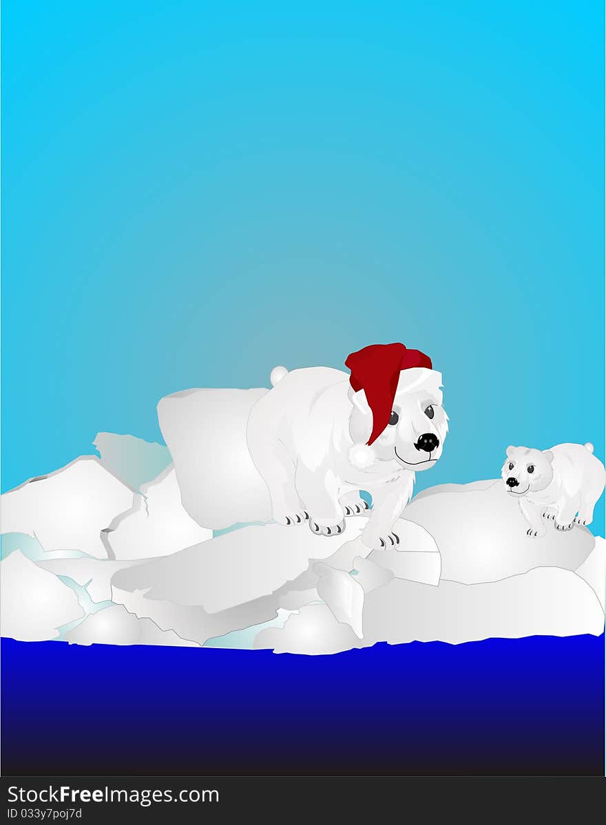 Two Polar Bears On Ice Pack