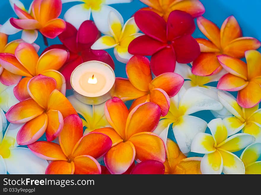 Candles in the middle of a multi-colored flowers. Candles in the middle of a multi-colored flowers