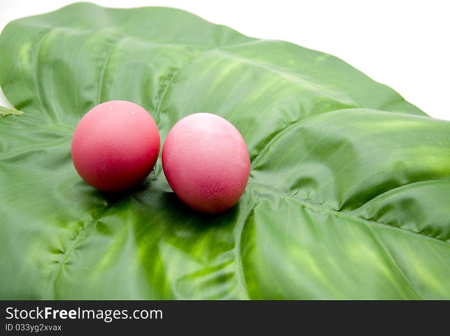 Colored Easter eggs on turn green leaf