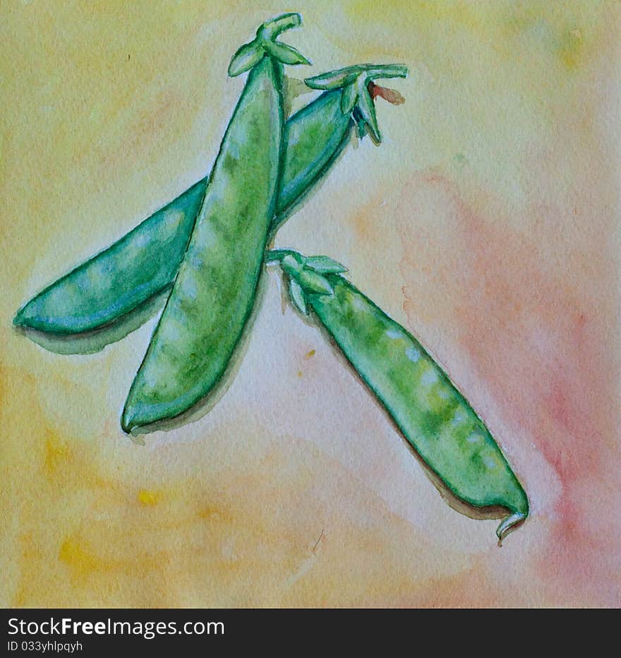 Pea watercolor