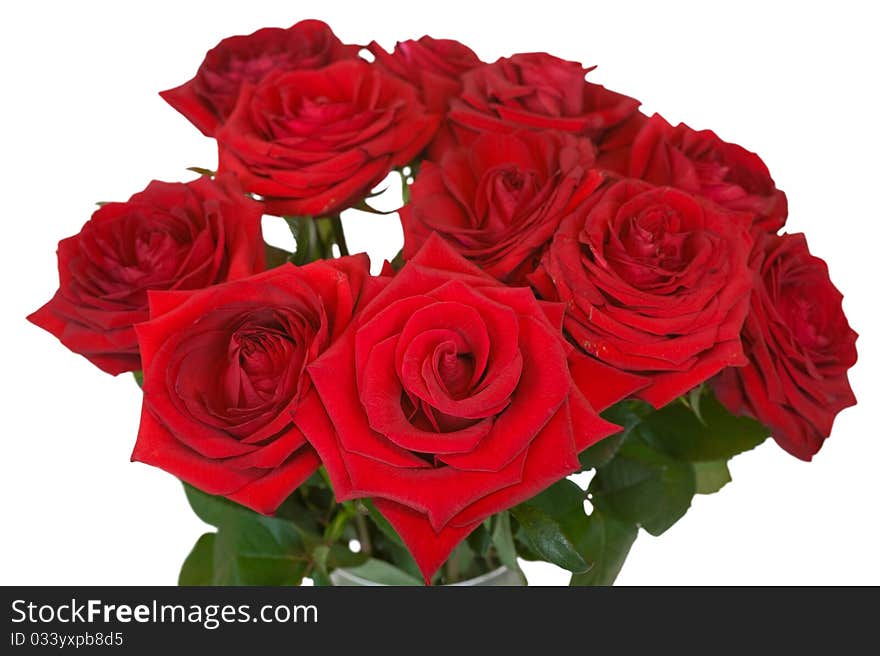 Bunch of roses on white background