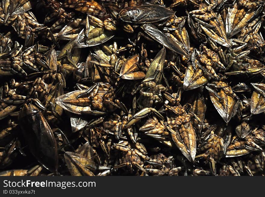 The crispy deep fried insect for delicious menu