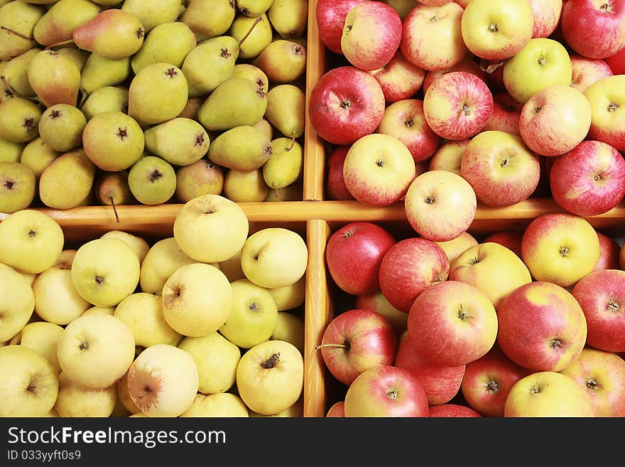 Autumn Fruits