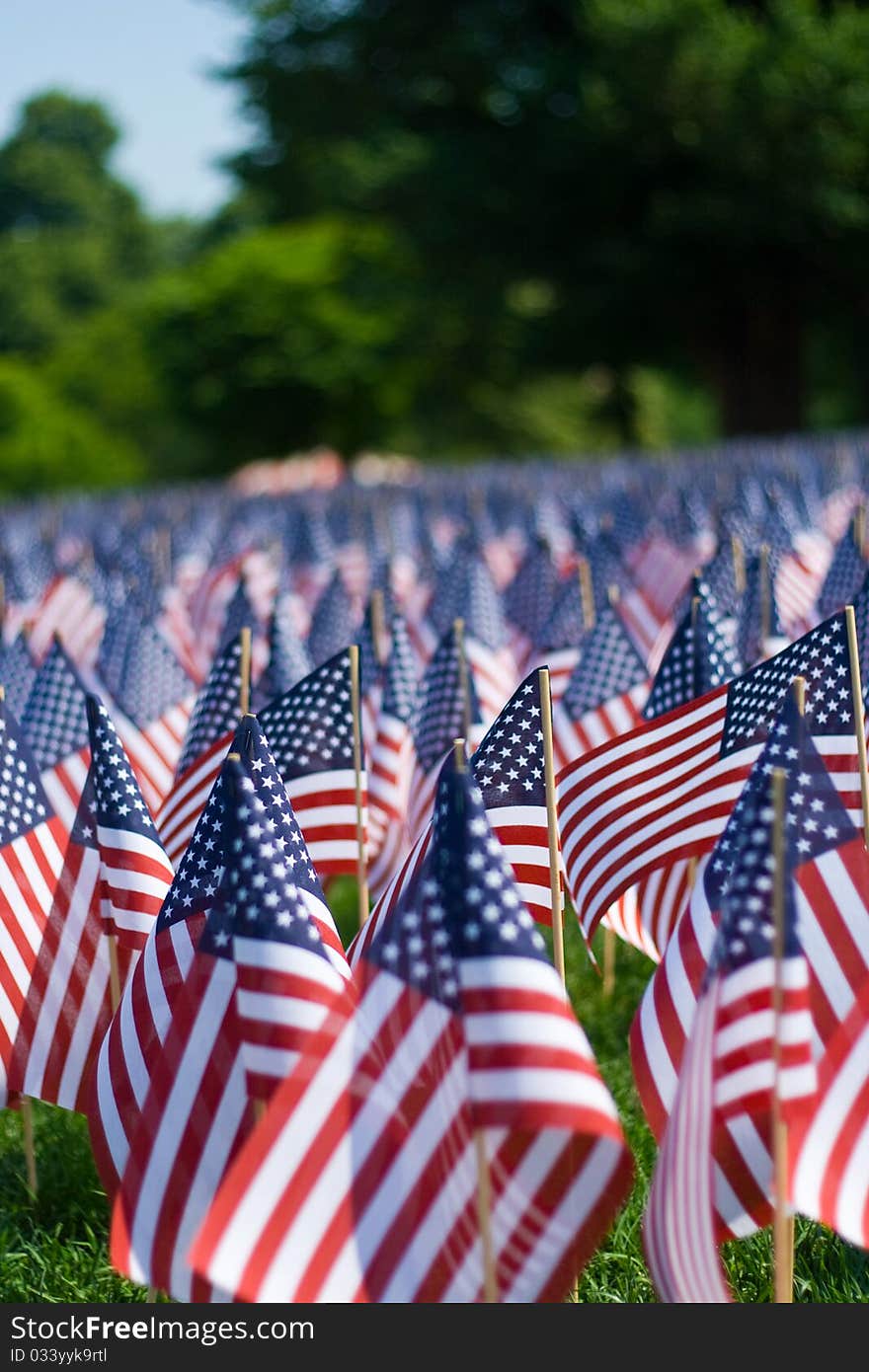 Landscape Flags in Common Park.