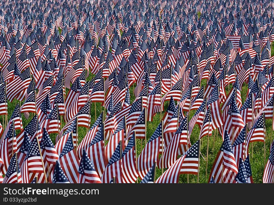 Landscape Flags in Common Park.