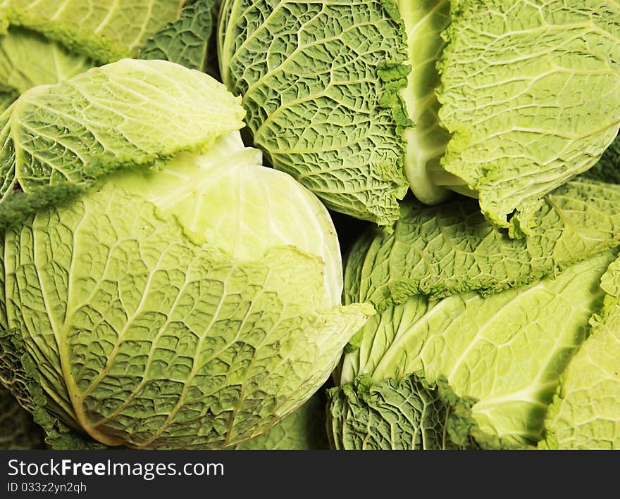 Background with fresh green cabbage (tendergreen)