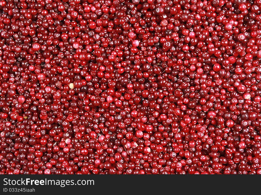 Fresh red cranberries in supermarket. Fresh red cranberries in supermarket