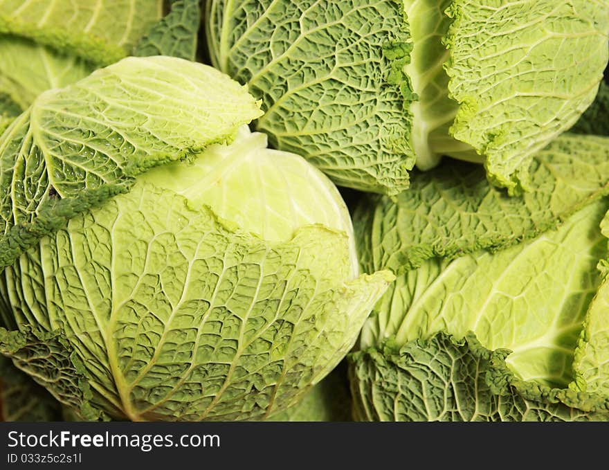 Background with fresh green cabbage. Background with fresh green cabbage