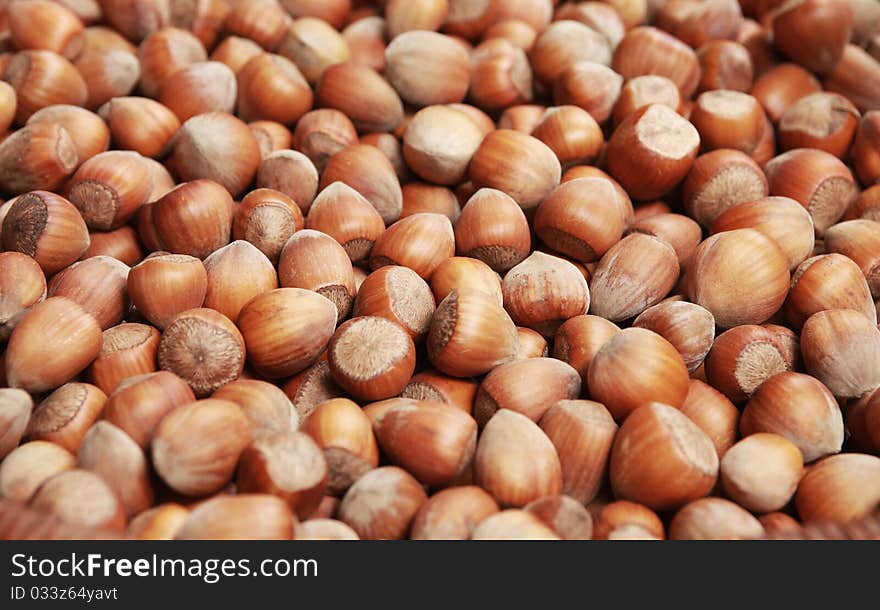 A lot of ripe brown hazelnuts (shallow DOF). A lot of ripe brown hazelnuts (shallow DOF)