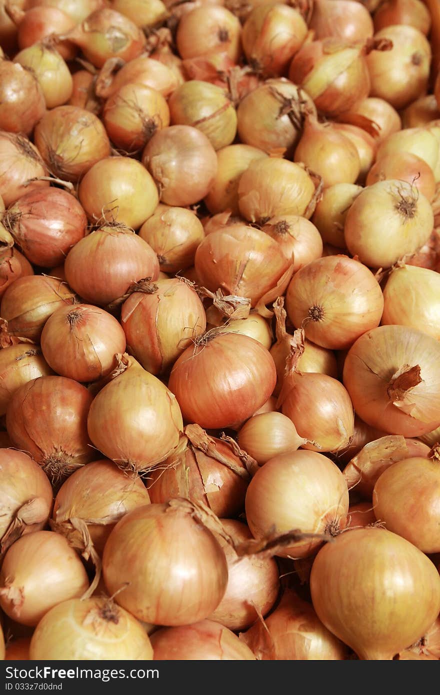 Lots of onions on shops counter (shallow DOF). Lots of onions on shops counter (shallow DOF)