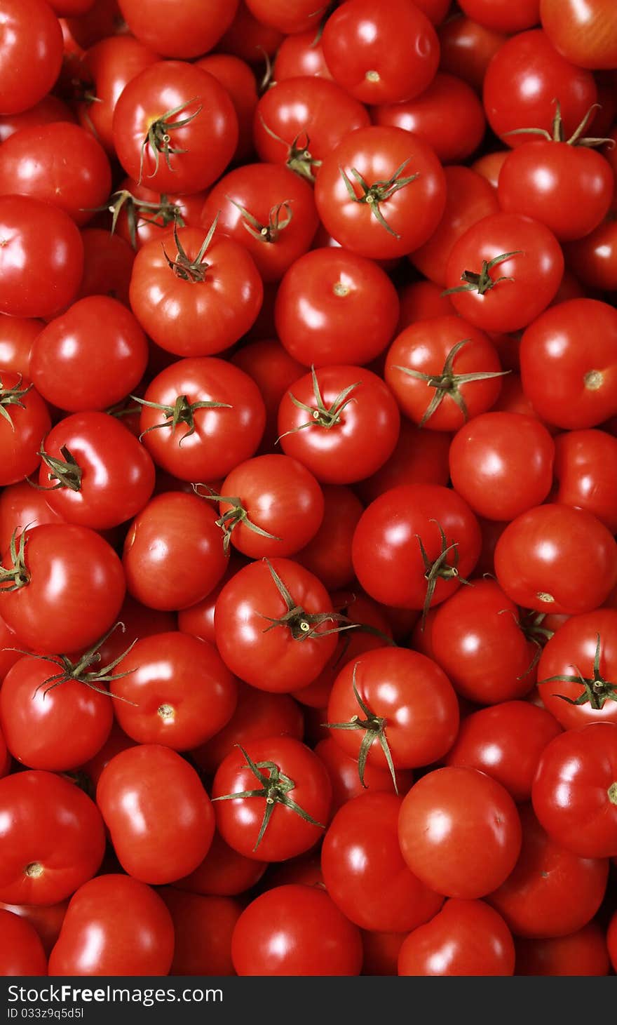 Tomato Background