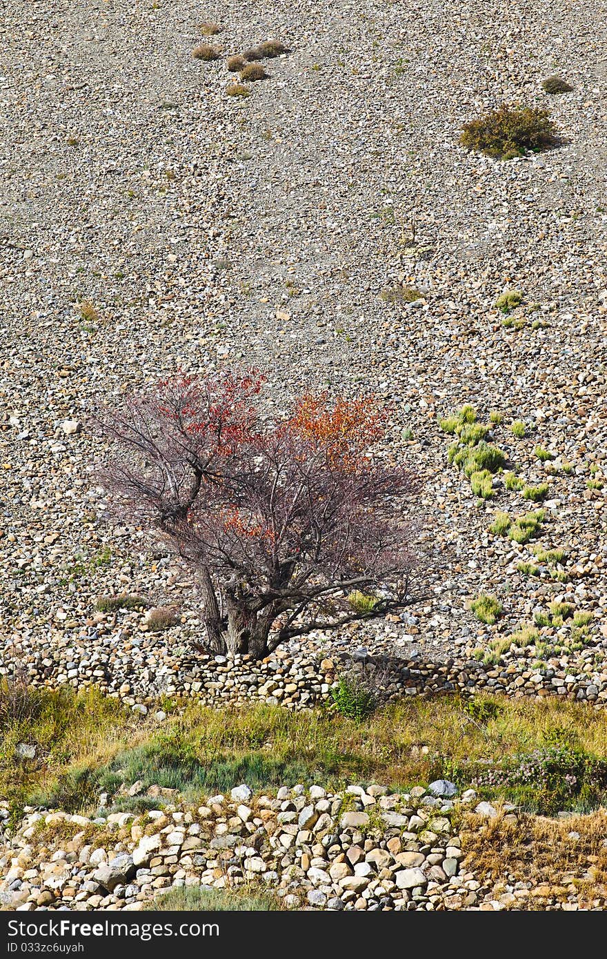 Autumn landscape, Annapurna region, Nepal. Autumn landscape, Annapurna region, Nepal.