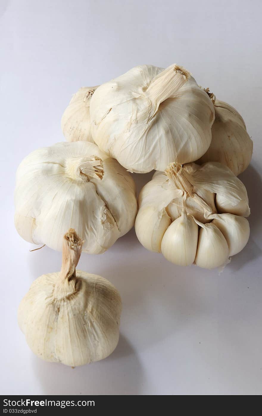 Garlic