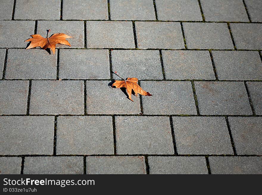 Urban Autumn Scene