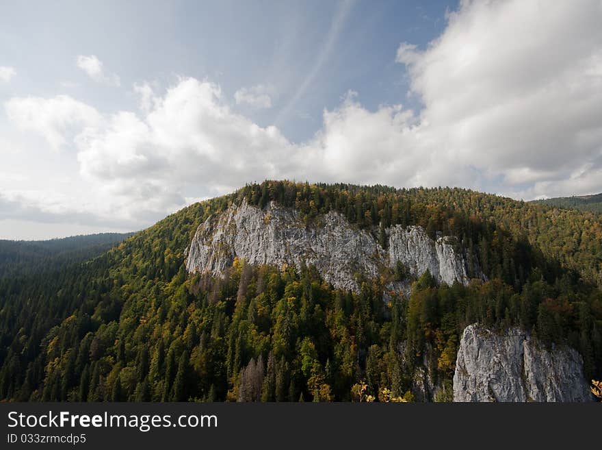 Fir tree forest over rocks seen from above. Blue Sky