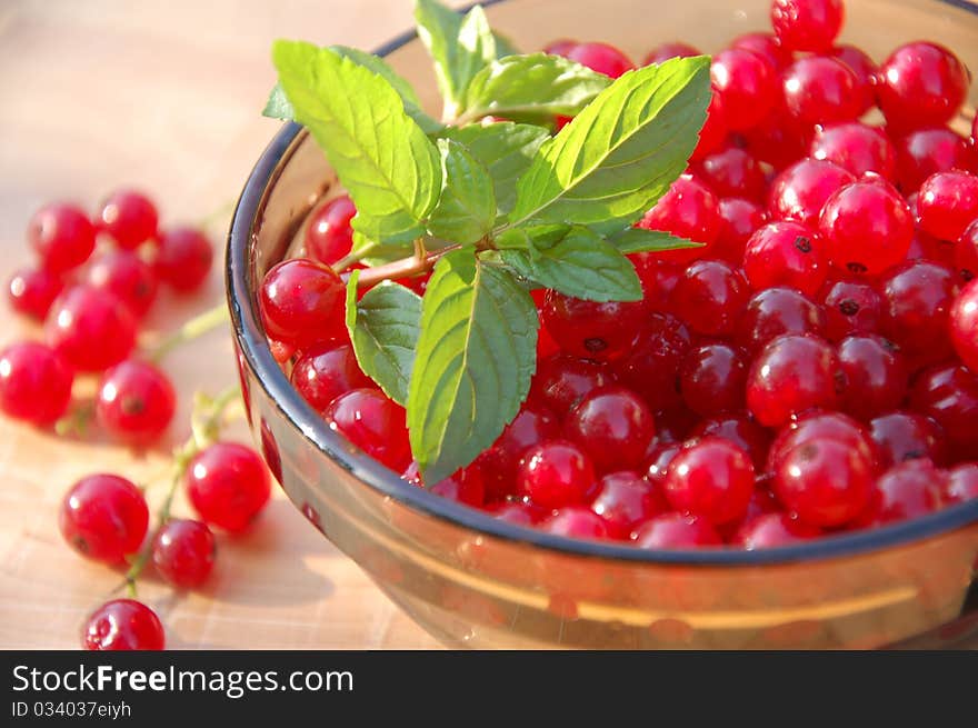 Redcurrant