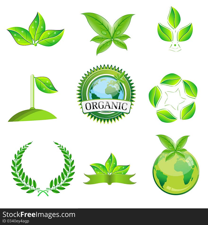 Illustration of green leafs on white background. Illustration of green leafs on white background