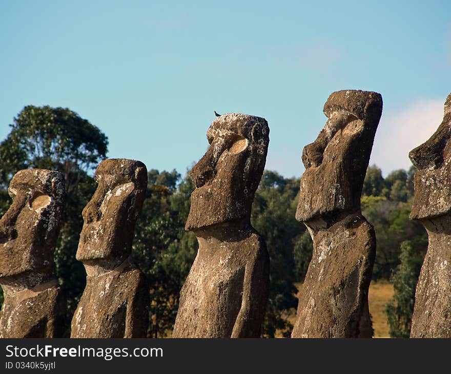 Moai in Rano Raraku, Easter Island, Chile. Moai in Rano Raraku, Easter Island, Chile.