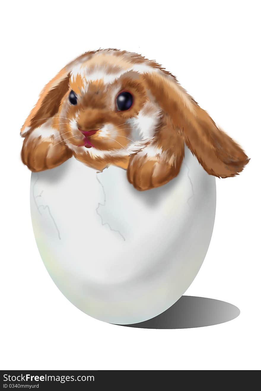 On a white background,rabbit in the egg,