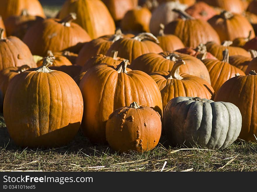 Pumpkins