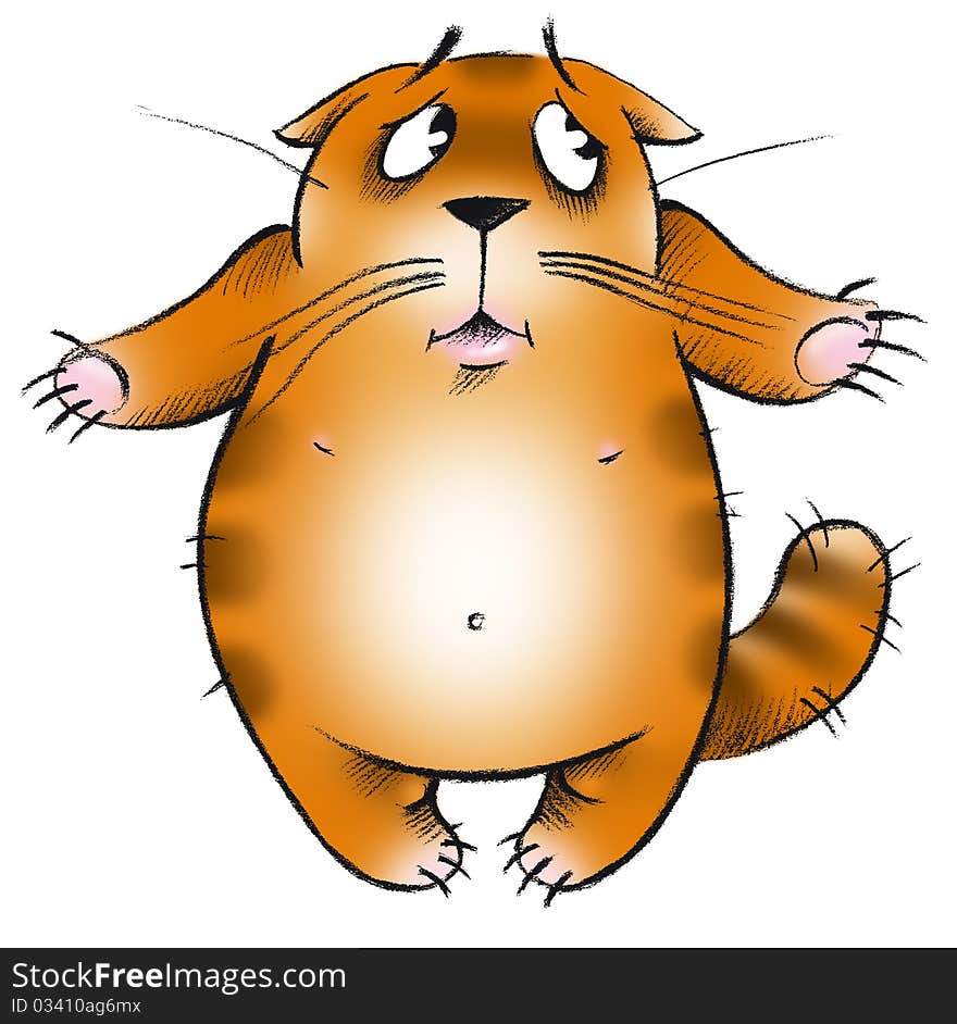 A very confused red fat cat. A very confused red fat cat