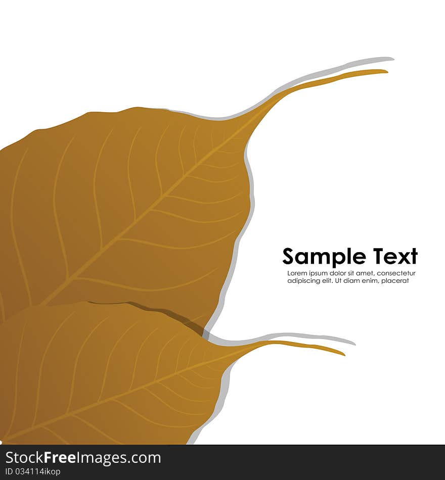 Illustration of autumn card on white background. Illustration of autumn card on white background