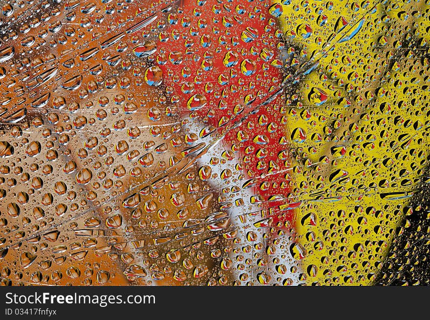 Background with color water drop. Rain drop on the glass