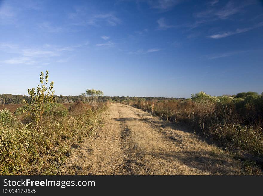 Paynes Prairie