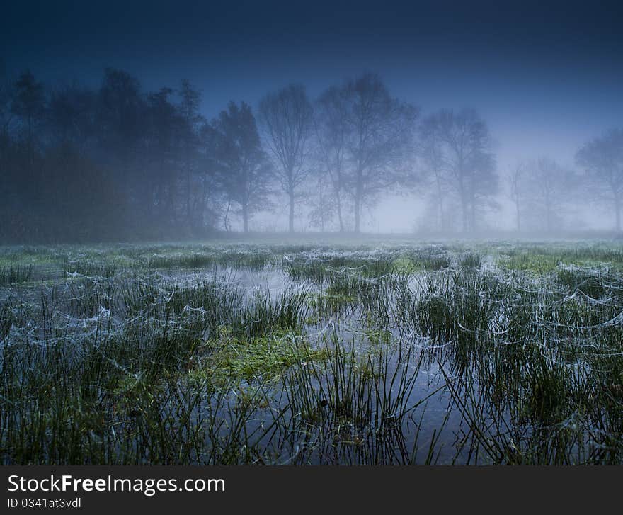 Flooded Meadow With Fog