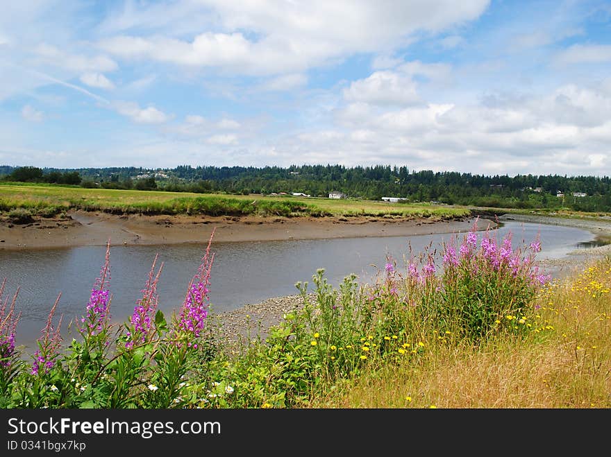 Beautiful River with Flowers