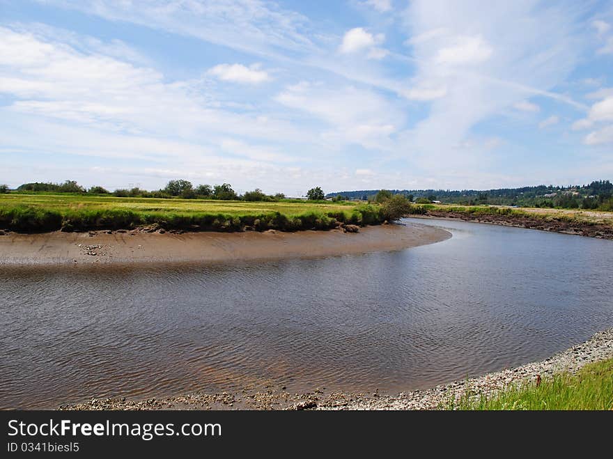 River Turning into Sea