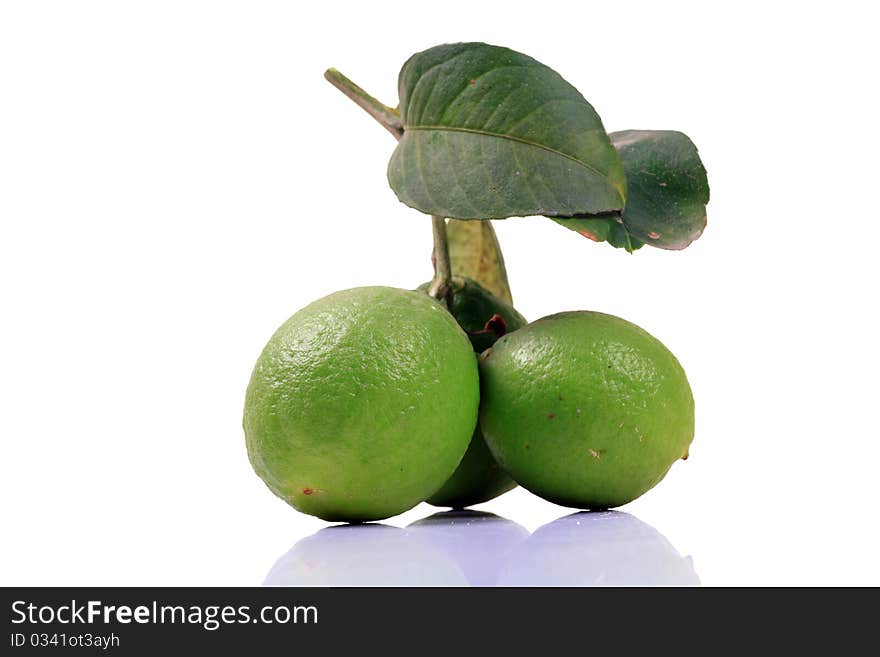 Bunch of fresh lime isolated on white background.