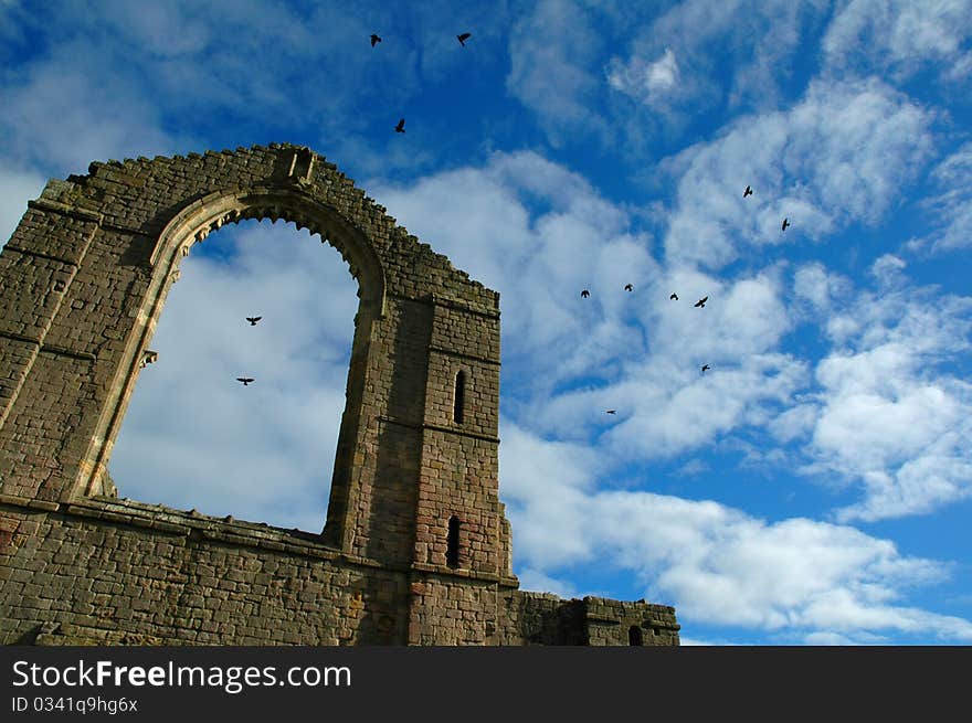 Ruins of old abbey with birds circling the above. Ruins of old abbey with birds circling the above