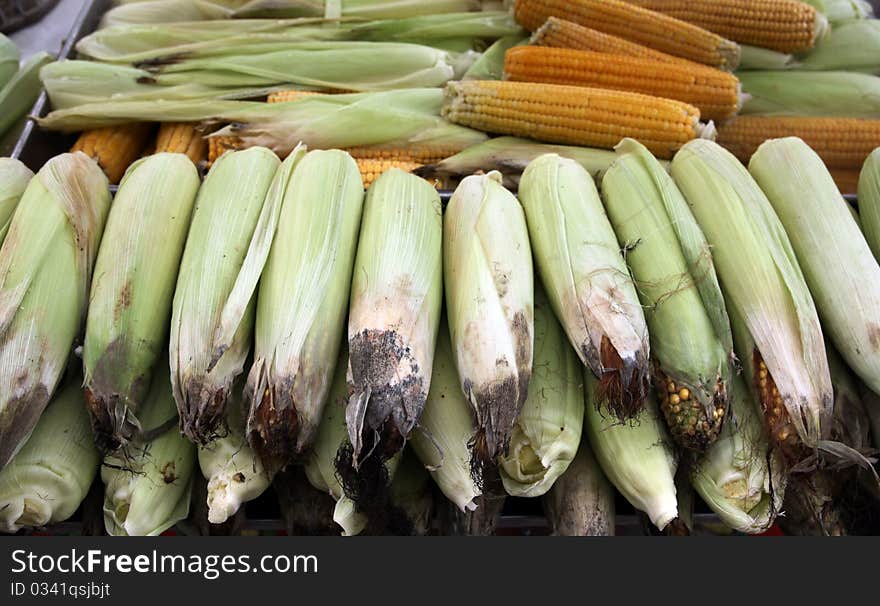 A view of corn. The boiled corn is popular food.