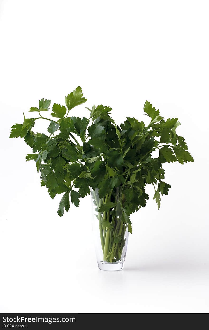 Parsley