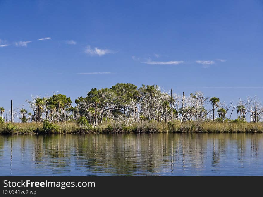 St. Martins Marsh Aquatic Preserve. One of the islands