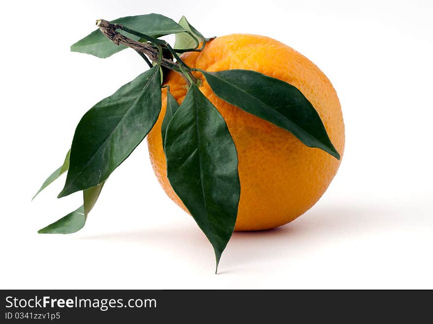 Orange