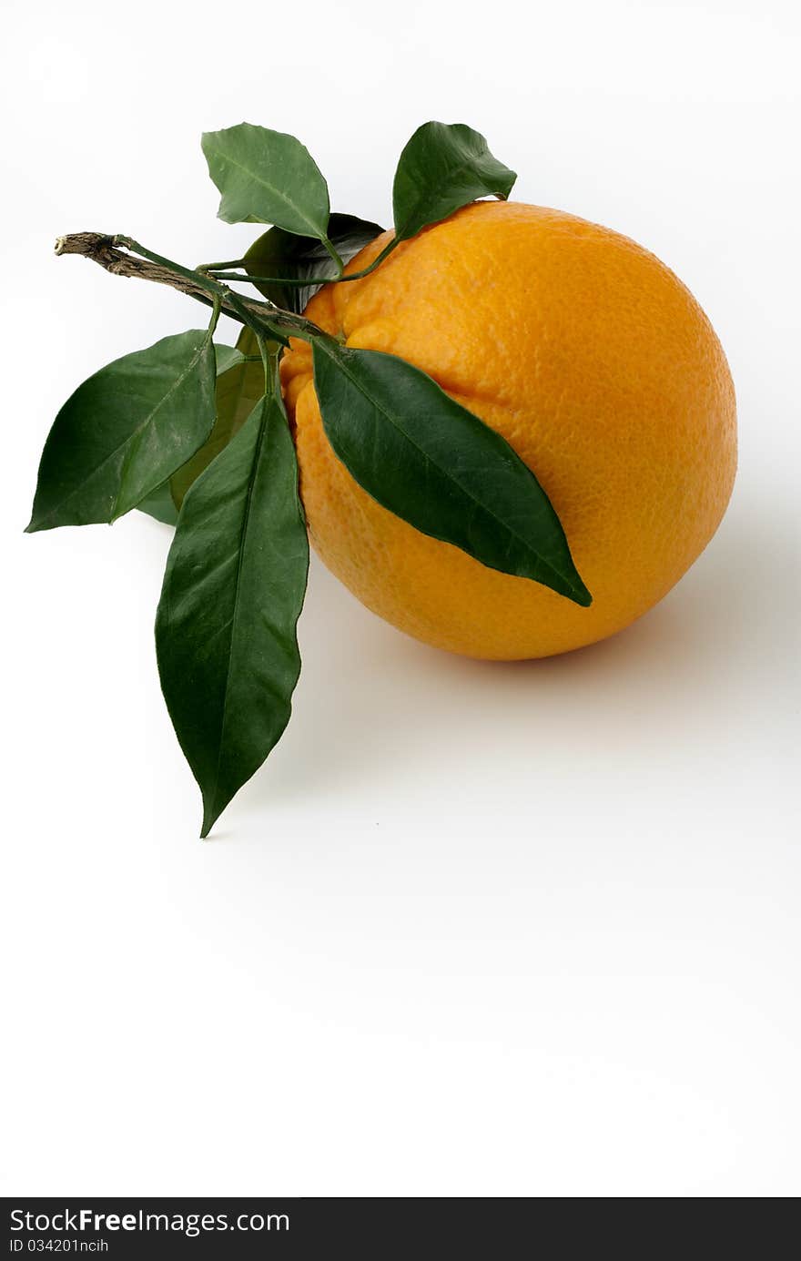 Orange