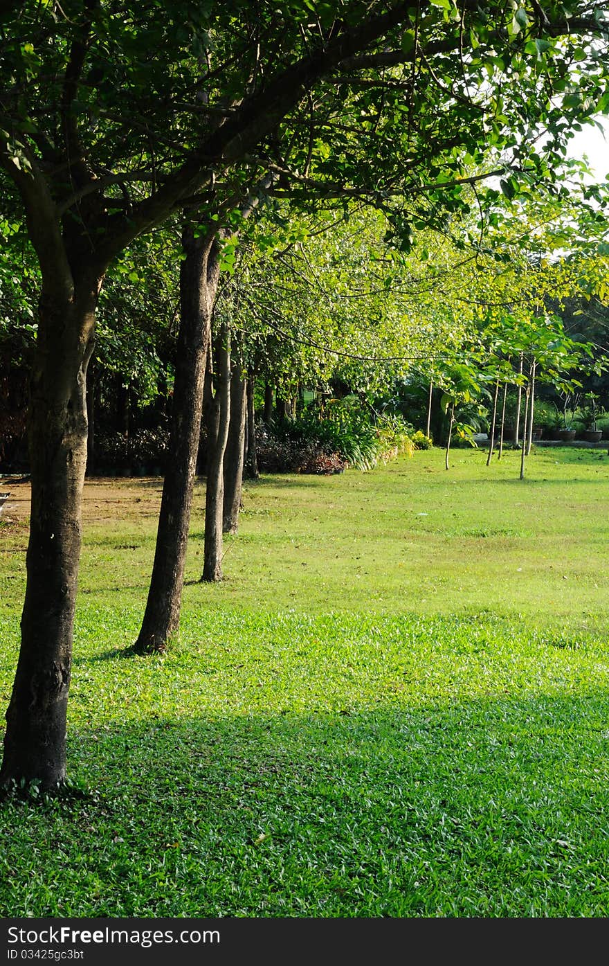 Evening in the Park, Central Bangkok